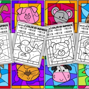 Animal Color By Number