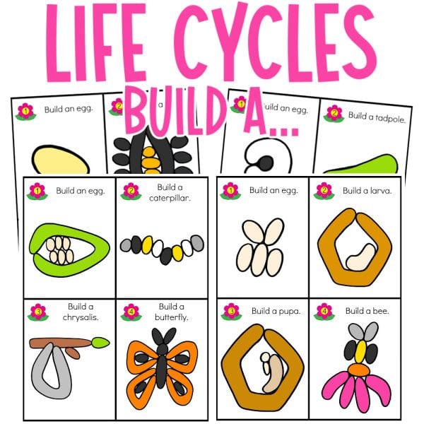 Life Cycle Playdoh Mats